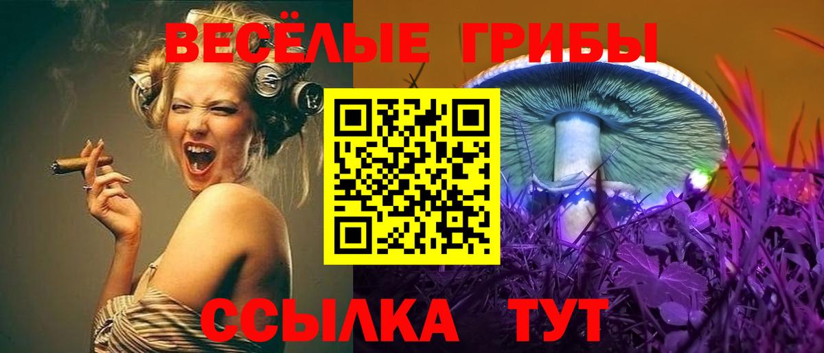 Псилоцибиновые грибы Psilocybine cubensis  Вход с VPN  Псилоцибиновые грибы GOLDEN TEACHER  Ипатово 